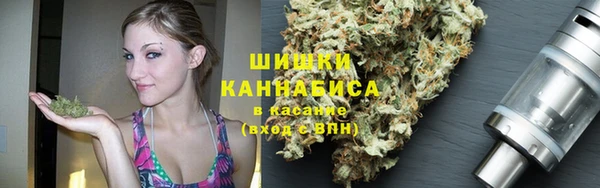 винт Инта
