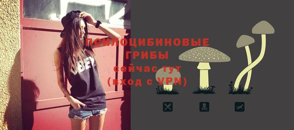 винт Инта