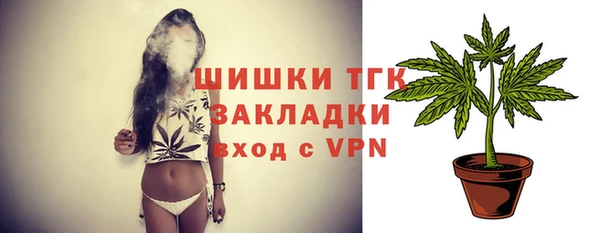 винт Инта