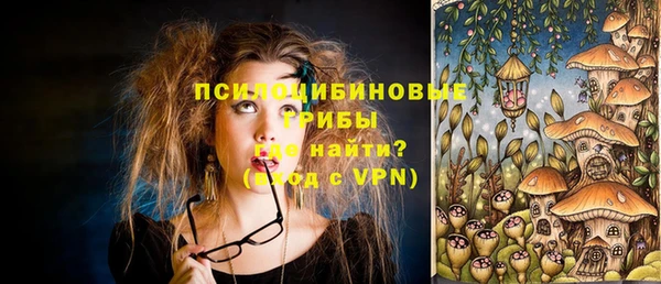 винт Инта