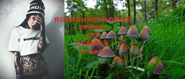 винт Инта