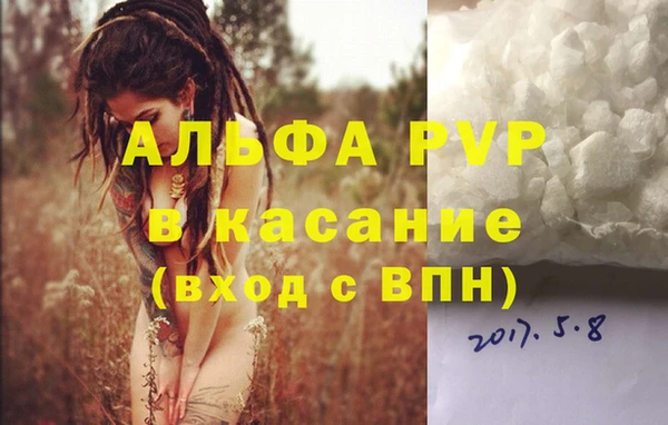 дурь Инсар