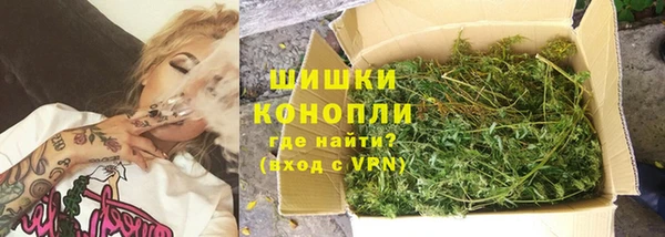дурь Инсар