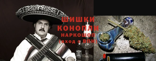 дурь Инсар