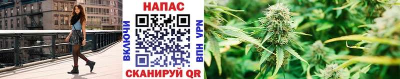 Бошки Шишки индика  Купить  Шлиссельбург 
